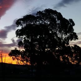 Saticoy Regional Golf Course