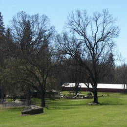 Phoenix Lake Golf Course