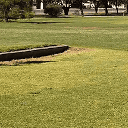 Wallaroo Golf Club