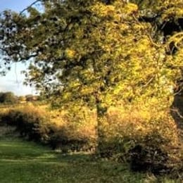 Rutland Water Golf Course (Hambleton)