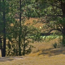 Leaning Rock Golf Course
