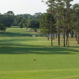 Golfing in Ocala Golf Courses in Ocala Hole19