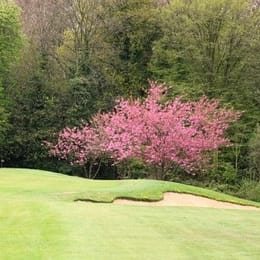 Shendish Manor Hotel & Golf Course