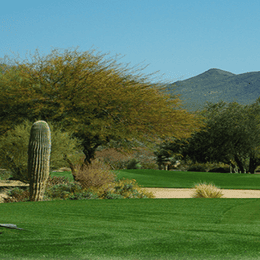 Tonto Verde Golf Club (Ranch)