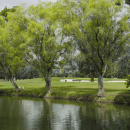 Country Club de Bogotá (Los Fundadores)