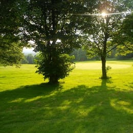 Tapton Park Golf Club (Markham)