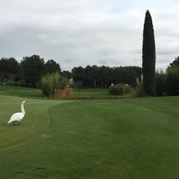Golf International de Pont Royal (Ballesteros)
