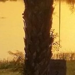 The Country Club of Sebring