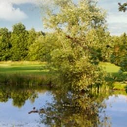 The Essex Golf & Country Club (Championship)