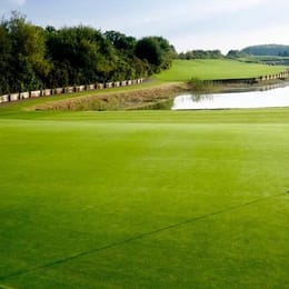 The Players Club (Codrington)