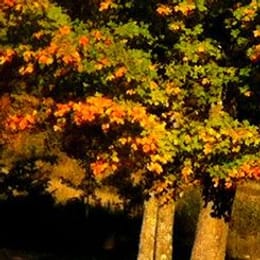 Apostle Highlands Golf Course