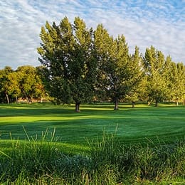 Forest Dale Golf Course