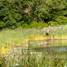 The Salt Pond Golf Club