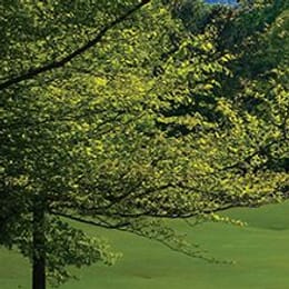 Limestone Springs Golf Club