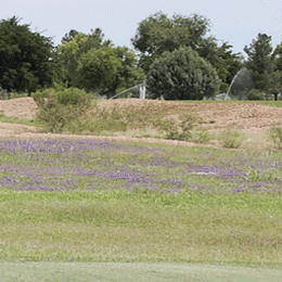 Douglas Golf Club & RV Park