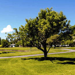 Continental Country Club - Flagstaff