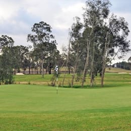 Cessnock Golf Club - Stonebridge Golf Course
