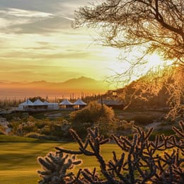 Golf Club at Dove Mountain