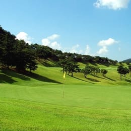 Plaza Country Club Yongin (Tiger)