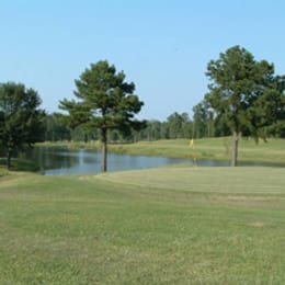 Turtle Pointe Golf Club