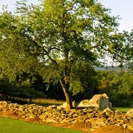 Greenhorn Creek Golf Resort