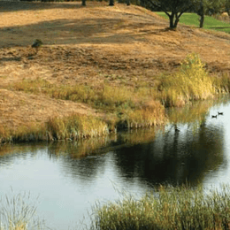 The Golf Club at Copper Valley