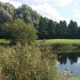 Wexham Park Golf Centre (Green)