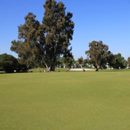 The Landings Golf Club