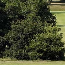 Whitewebbs Park Golf Course