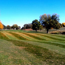 The Meadows Country Club