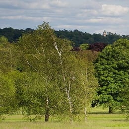 Winter Hill Golf Club