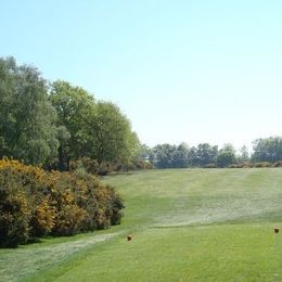 Woodbridge Golf Club (Forest)