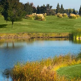 The Reserve at Spanos Park