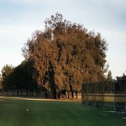 Van Buskirk Golf Course