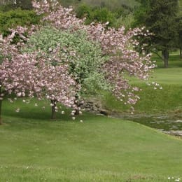 Carrickfergus Golf Club