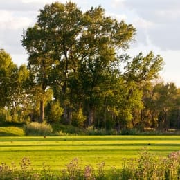 Cattails Golf Course