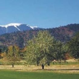 Hollydot Golf Course