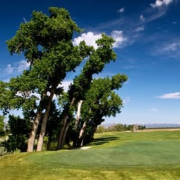 Green Valley Ranch Golf Club (Par 3)
