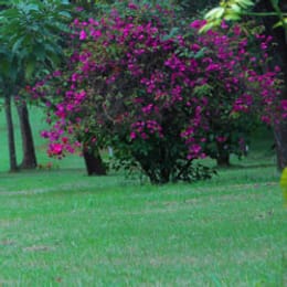 VetLab Sports Club - VLSC