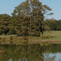 Wanee Lake Golf and RV Resort