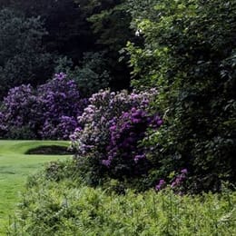 Cawder Golf Club (Cawder)