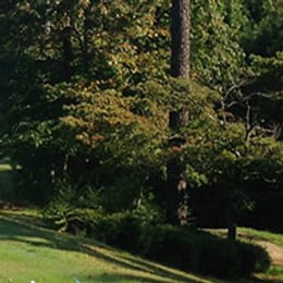 Country Land Golf Course