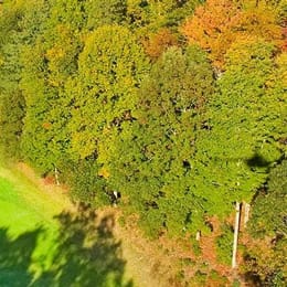 Connestee Falls Golf Club