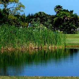 Dunedin Stirling Links