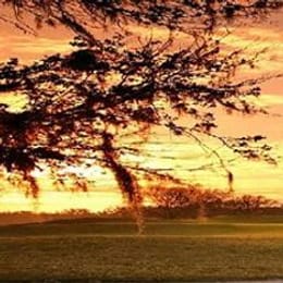 Verandah Golf Club (Old Orange)