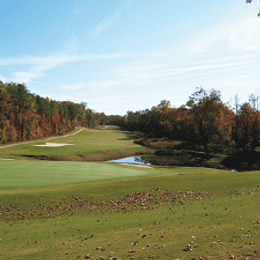 St. Andrews Golf & Country Club