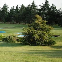 Coronel Moldes Golf Club