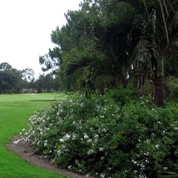 Westminster Golf Club