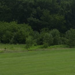 Forest Preserve Golf - Meadowlark Golf Course