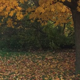 Chicago Park District - Columbus Park Golf Course